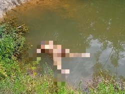 Mayat Wanita Tanpa Busana Ditemukan dalam Bekas Galian di Batanghari