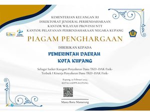 Pemkot Kupang Raih 3 TKD Award dari Kementerian Keuangan