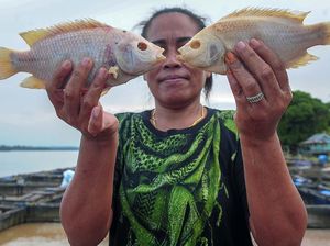 Banjir Bikin Rugi Petani Tambak di Muaro Jambi