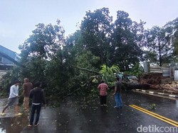 11 Bencana Melanda Kota Bogor dalam Sehari: Pohon Tumbang-Tanah Longsor