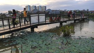 Potret Lahan Basah di Jakarta Utara Diubah Jadi Ruang Terbuka Hijau
