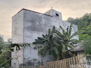 Sarang Burung Walet di Kota Bima Wajib Berizin-Bayar Pajak 10 Persen