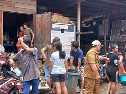 Warga di Tana Toraja Digigit Ular Saat Bersihkan Lumpur Sisa Banjir Makale
