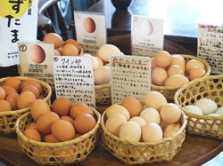 Unik! Di Jepang Ada Toko Spesialis Telur Mentah Berkualitas