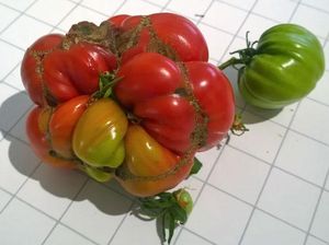 10 Buah dan Sayur Monster dengan Tampilan Menakjubkan 10 Buah dan Sayur Monster dengan Tampilan Menakjubkan