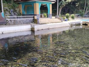 Menguak Asal-usul dan Mitos Balong Cigugur Kuningan Menguak Asal-usul dan Mitos Balong Cigugur Kuningan