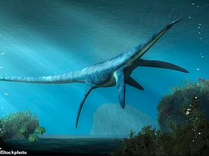 Ada Berapa Sisa Dinosaurus yang Belum Ditemukan? Begini Jawaban Ahli