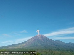 Semeru Kembali Erupsi 2 Kali dalam 6 jam, Ketinggian Abu Vulkanik 500-900 M