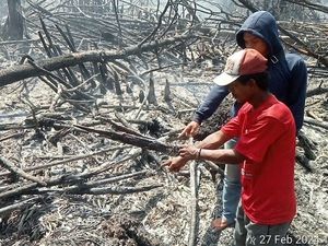Bakar Lahan untuk Kebun Sawit, Pria Asal Rokan Hilir Jadi Tersangka Bakar Lahan untuk Kebun Sawit, Pria Asal Rokan Hilir Jadi Tersangka