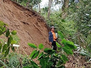 Saluran Irigasi Patah di Pagar Alam, Puluhan Hektare Sawah Terancam Kering