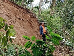Saluran Irigasi Patah di Pagar Alam, Puluhan Hektare Sawah Terancam Kering