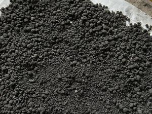 Mahasiswa ITS Bikin Pasir Kucing Ramah Lingkungan, Ini 6 Keunggulannya Mahasiswa ITS Bikin Pasir Kucing Ramah Lingkungan, Ini 6 Keunggulannya