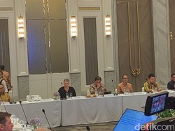 Di Hadapan Anggota OECD, Airlangga Banggakan Quick Count Pemilu RI