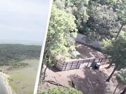 Pulau Misterius Dihuni Ribuan Monyet Riset, Terlarang untuk Warga