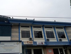 Kata Tahura Djuanda soal Kawanan Monyet Liar di Permukiman Warga Bandung