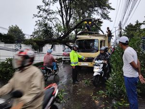 Pohon Tumbang Timpa Truk hingga Tutupi Jalan di Bandung