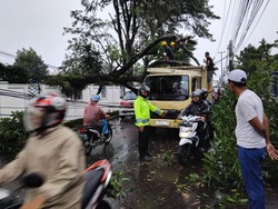 Pohon Tumbang Timpa Truk hingga Tutupi Jalan di Bandung