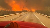 Horor Kebakaran Hutan di Texas yang Semakin Meluas