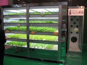 10 Vending Machine Makanan Tak Biasa yang Pernah Ada di Dunia