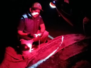 Kisah Aipda Wardika, Polisi Penjaga Telur Penyu di Simeulue Aceh