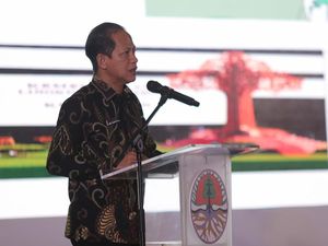 KLHK Ungkap Progress Redistribusi TORA, Capai 2,9 Juta Hektare KLHK Ungkap Progress Redistribusi TORA, Capai 2,9 Juta Hektare