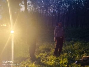 2 Pelajar Simalungun Tertimpa Patahan Pohon saat Naik Motor, 1 Patah Tulang