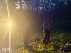 2 Pelajar Simalungun Tertimpa Patahan Pohon saat Naik Motor, 1 Patah Tulang