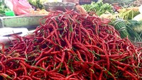Harga Cabai Merah di Sumut Turun, Namun Masih di Atas HET