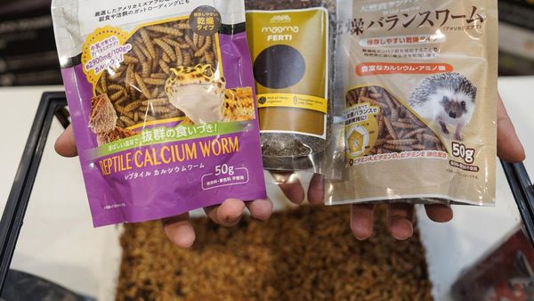 Dana Hibah Rp8,2 Miliar untuk Empat Wirausaha Sosial dan UKM