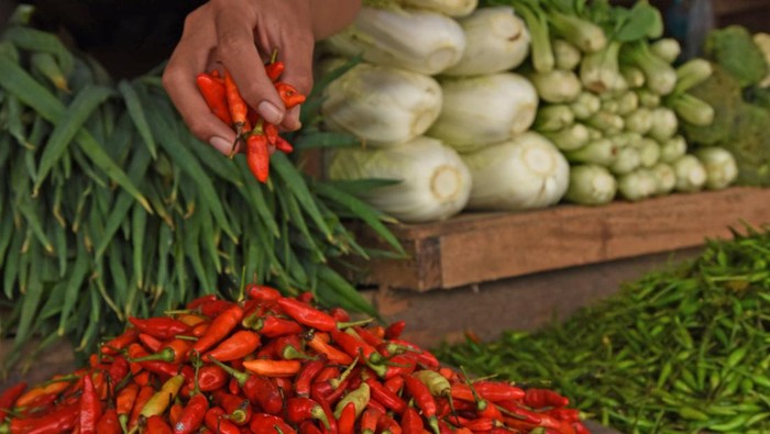 Pedagang sayur mengambil cabe rawit merah di Pasar Induk Rau Kota Serang, Banten, Kamis (29/2/2024). Menurut pedagang, harga cabe rawit merah naik dari Rp50 ribu menjadi Rp85 ribu perkilogram, harga cabe keriting naik dari Rp48 ribu menjadi Rp82 ribu perkilogram, dan cabe merah naik dari Rp55 ribu menjadi Rp84 ribu perkilogram jawaban usul naik sedang pasokan berkurang. ANTARA FOTO/Asep Fathulrahman/Spt.