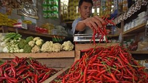 Giliran Harga Cabai Mulai Naik!