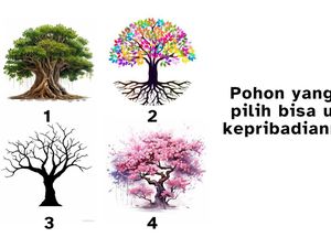 Jangan Syok, Pohon yang Kamu Pilih Bisa Mengungkap Kepribadian Tersembunyi Jangan Syok, Pohon yang Kamu Pilih Bisa Mengungkap Kepribadian Tersembunyi