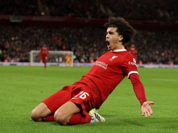 Sepekan Penuh Warna Jayden Danns