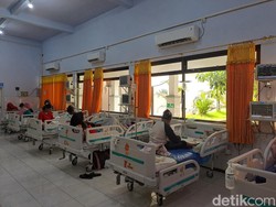 Angka DBD RI Ngegas di Awal 2025, Kemenkes Catat 10 Ribu Kasus-48 Kematian