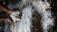 Kementerian KKP Catat Produksi Garam Nasional Lampaui Target
