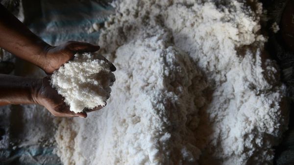 Kementerian KKP Catat Produksi Garam Nasional Lampaui Target