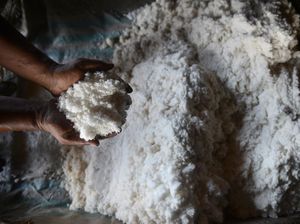 Kementerian KKP Catat Produksi Garam Nasional Lampaui Target