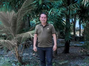 Profil dan Sosok Anggota DPRD NTT Rocky Winaryo yang Positif Narkoba Profil dan Sosok Anggota DPRD NTT Rocky Winaryo yang Positif Narkoba