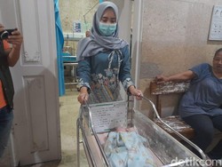Tiga Bayi di Sidoarjo Lahir di Hari Kabisat 2024