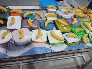 Segini Harga Seporsi untuk Program Makan Siang Gratis Prabowo-Gibran