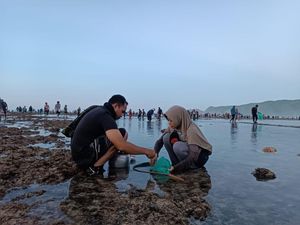 Ribuan Warga Buru Cacing Laut Sebelum Acara Bau Nyale 2024 Ribuan Warga Buru Cacing Laut Sebelum Acara Bau Nyale 2024