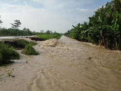 Tanggul Sungai Cimeneng di Bantarsari Cilacap Jebol, 150 KK Mengungsi