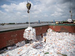 Impor Beras Tahun Ini Bakal Tembus 5 Juta Ton