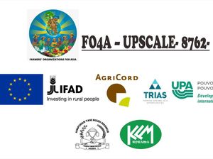 Panggilan Tender untuk Audit Forensik Program FO4A Upscale di Karanganyar