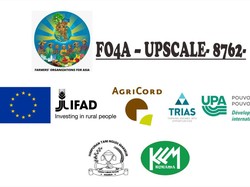 Panggilan Tender untuk Audit Forensik Program FO4A Upscale di Karanganyar