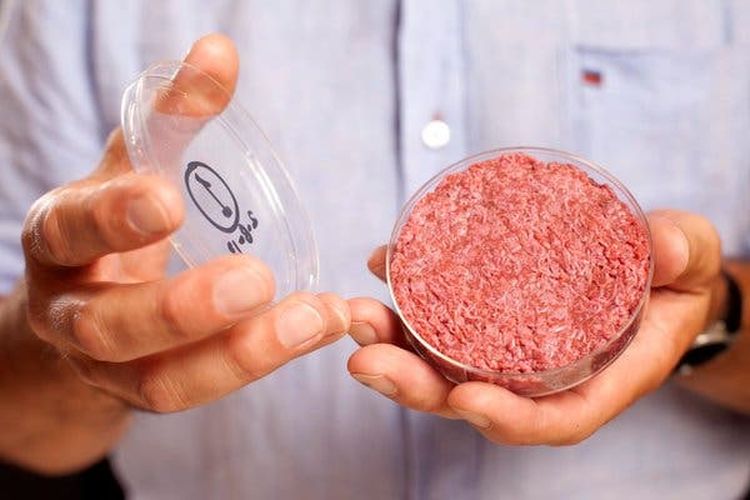 Pencetak Inovasi Pangan: 10 Karier Cemerlang Lulusan Teknologi Pangan