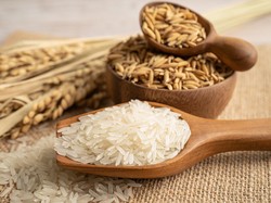 Bos Bapanas Buka Suara soal Takaran Beras Dikurangi