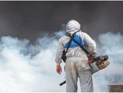 Kasus DBD di Palembang Menurun, Kecamatan Gandus Malah Naik Drastis