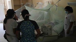 Kasus DBD Meningkat, Peru Umumkan Darurat Kesehatan