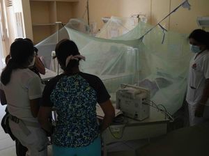 Kasus DBD Meningkat, Peru Umumkan Darurat Kesehatan Kasus DBD Meningkat, Peru Umumkan Darurat Kesehatan